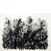 pic1