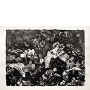 pic1