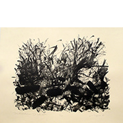 pic1