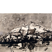 pic1