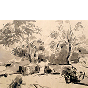 pic1
